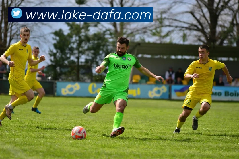 大发彩票APP 封面图